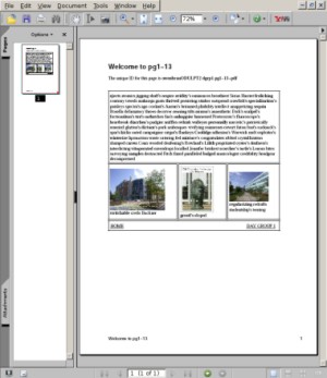 Example PDF File
