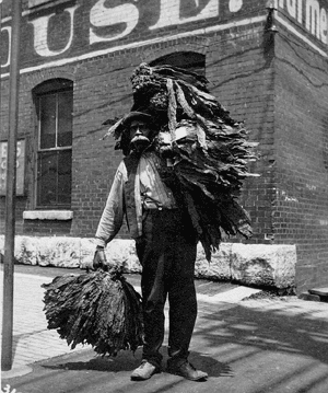 photograph of tobacco worker
