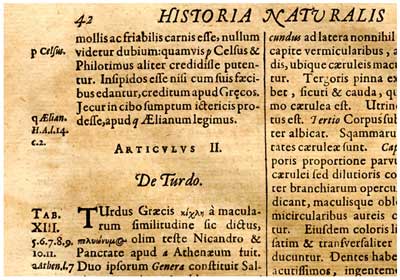 Image showing an extract from Jan Jonston's Historiae Naturalis De Piscibus Et Cetis Libri V
