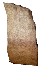 A textured 3D model of a petroglyph