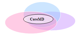 illustration of core metadata within a metadata scheme