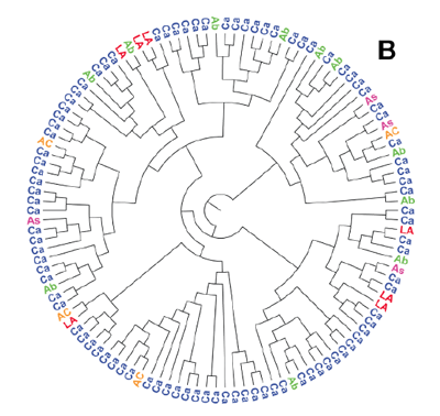 murray-rust-fig2