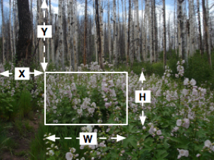 Image showing parameters for a JPEG 2000 Region Estraction