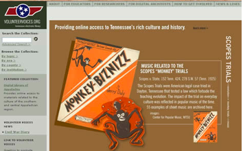 Screen Shot - Monkey-Biznizz Web Page